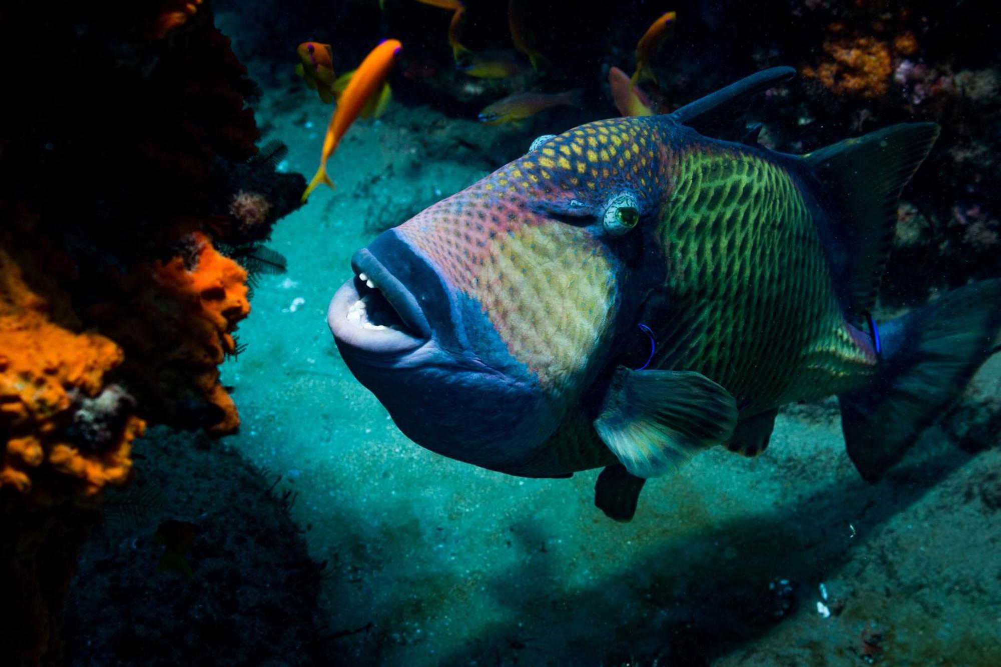 Sodwana Bay Lodge Dive & Fishing Resort Ngoại thất bức ảnh