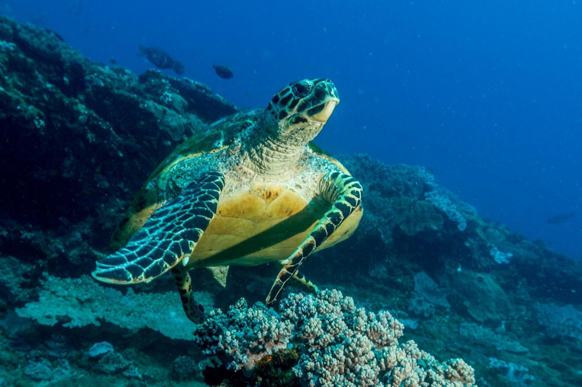 Sodwana Bay Lodge Dive & Fishing Resort Ngoại thất bức ảnh